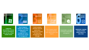 Investment Committees