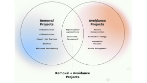 Frequently Asked Questions Jedon Kotler