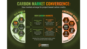 Carbon Markets Convergence