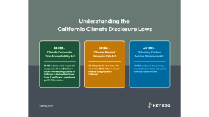Regulatory & Litigation Risk Briefing