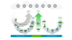 Standards, Definitions & Terminology